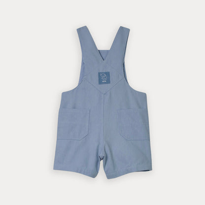 Overall Celeste