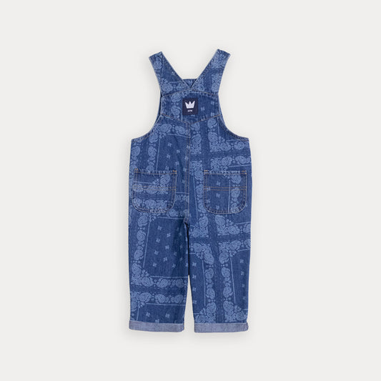 Overall Jean
