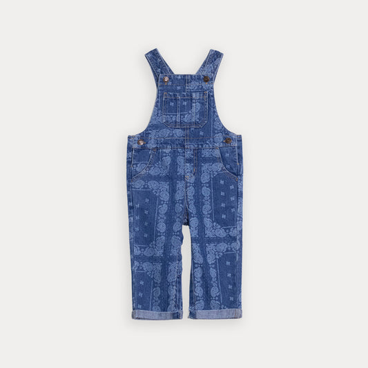 Overall Jean