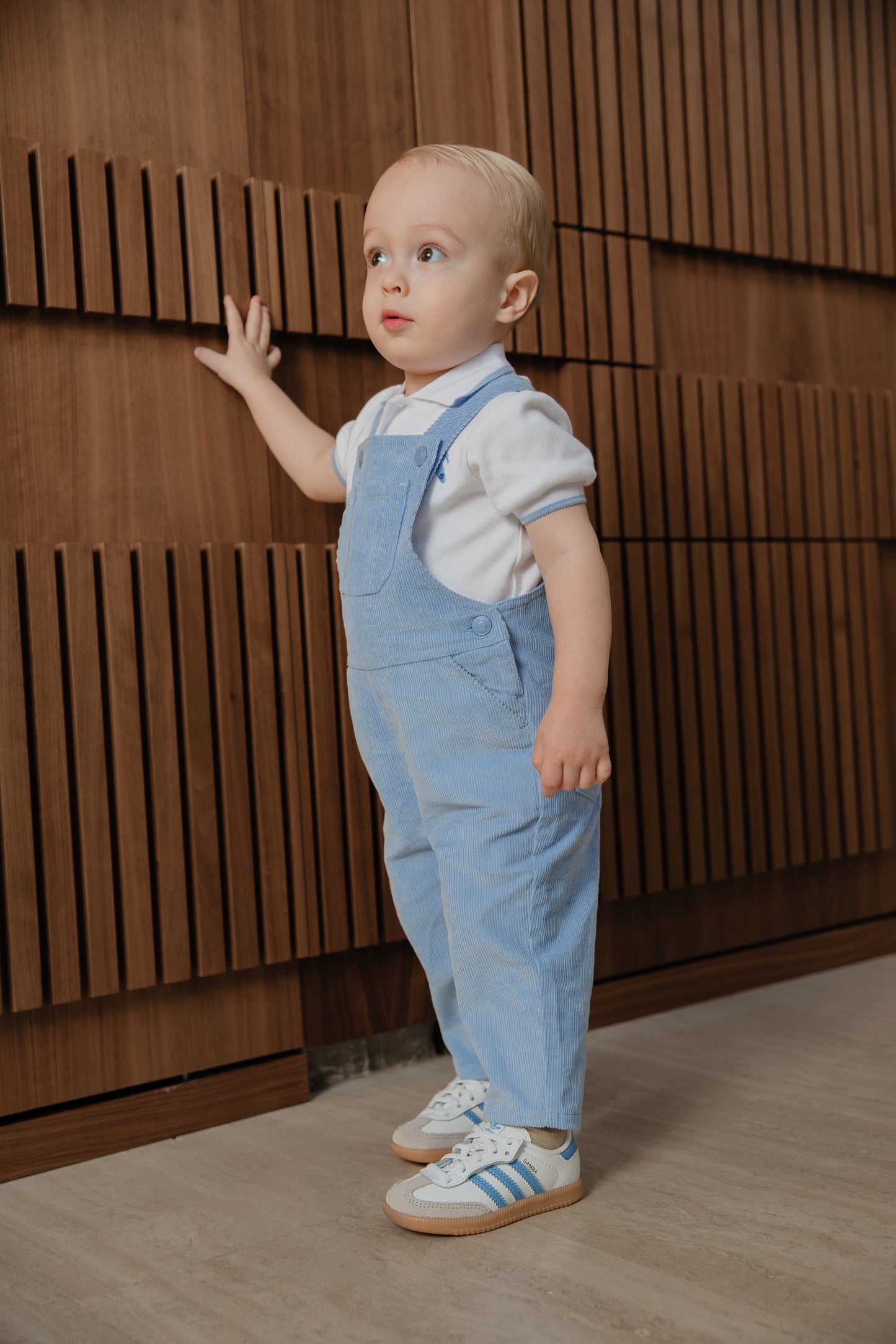 Overall Celeste