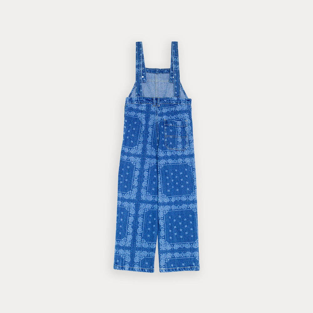 Overall Jean