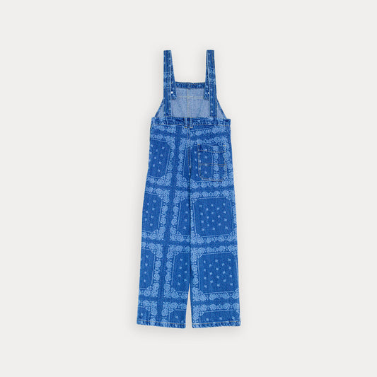 Overall Jean